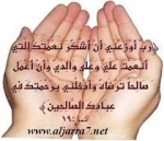 الصورة الرمزية ابو الوليد الصورة الرمزية ابو الوليد