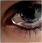 الصورة الرمزية سجينه الأحزان الصورة الرمزية سجينه الأحزان