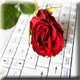 الصورة الرمزية غ ـرور أنـثـى الصورة الرمزية غ ـرور أنـثـى