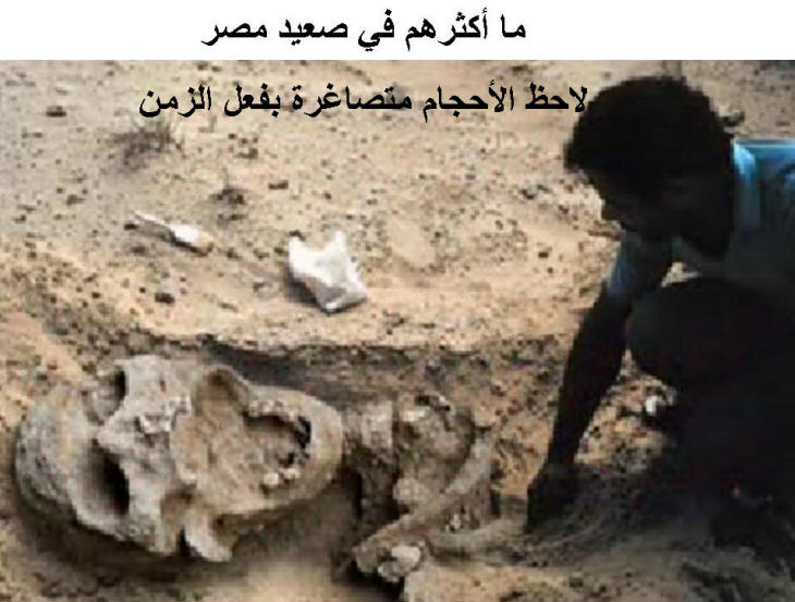 نقره لتكبير أو تصغير الصورة ونقرتين لعرض الصورة في صفحة مستقلة بحجمها الطبيعي نقره لتكبير أو تصغير الصورة ونقرتين لعرض الصورة في صفحة مستقلة بحجمها الطبيعي