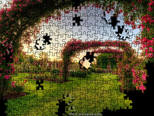 نقره لعرض الصورة في صفحة مستقلة