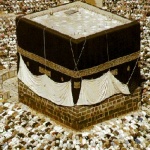 الصورة الرمزية الصـامد الصورة الرمزية الصـامد